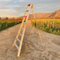 Escalera Cosechera