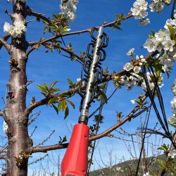 Raleador de Flor