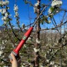 Raleador de Flor