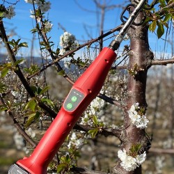 Raleador de Flor